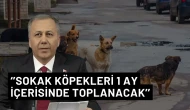 İçişleri Bakanı Yerlikaya: ‘’Tüm köpekler 1 ay içerisinde toplanacak’’